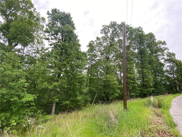 LOT20 Haddington Dr, Bella Vista, AR 72715 - photo 5