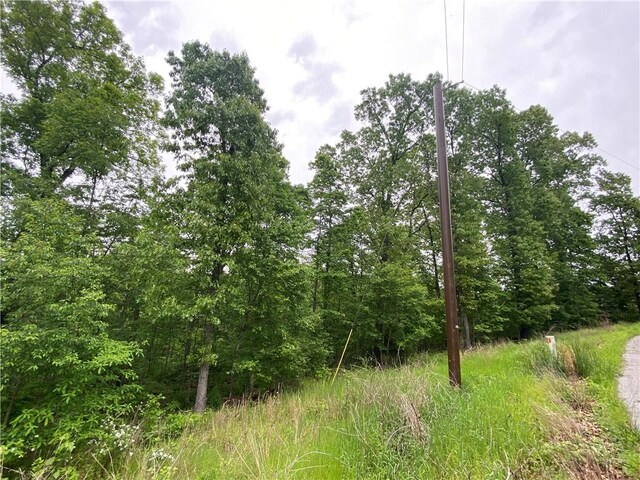 LOT20 Haddington Dr, Bella Vista, AR 72715 - photo 6