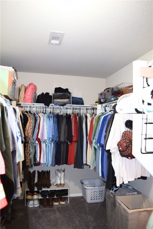 spacious closet with carpet floors