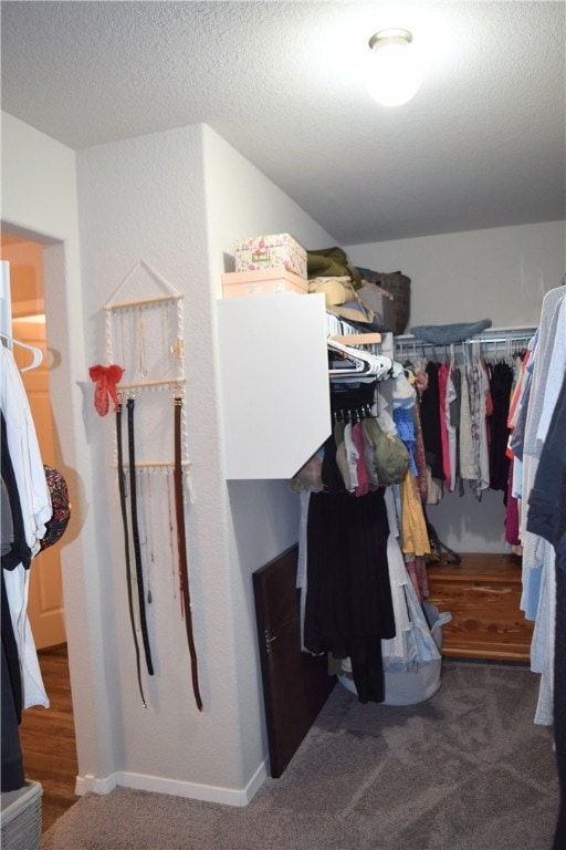 spacious closet featuring carpet flooring