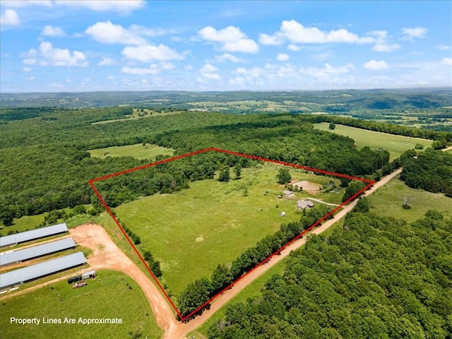 2128 Madison 3120, Huntsville, AR 72740 - photo 4