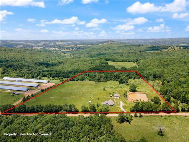 2128 Madison 3120, Huntsville, AR 72740 - photo 21