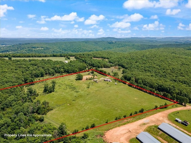 2128 Madison 3120, Huntsville, AR 72740 - photo 24