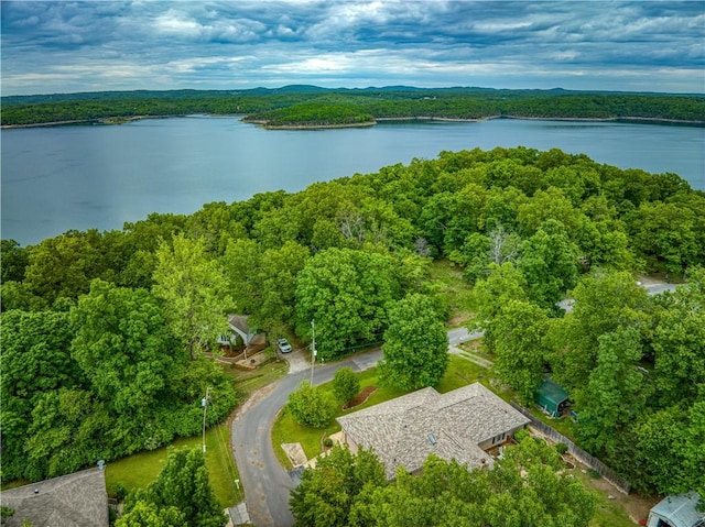 142 Walden Ln, Bull Shoals, AR 72619 - aerial overview of property's location featuring a nearby body of water and a forest