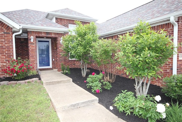 view of exterior entry featuring brick siding and a shingled roof