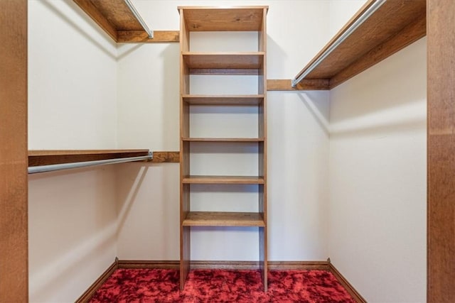 walk in closet featuring carpet floors