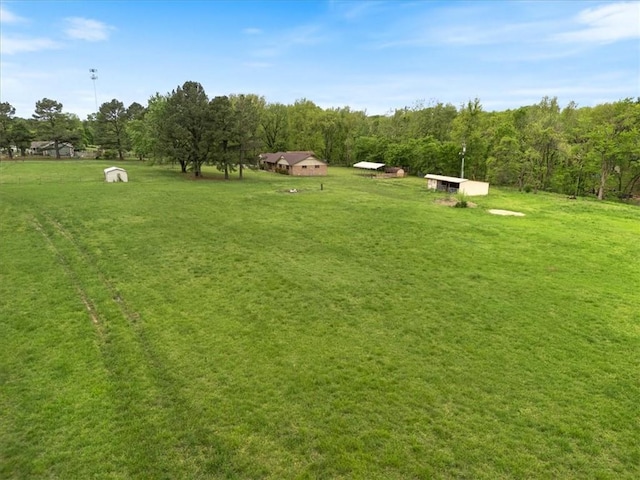 view of grassy yard