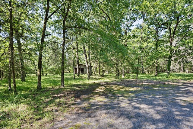 10616 S Liberty Rd, Dardanelle, AR 72834 - view of yard featuring an outbuilding