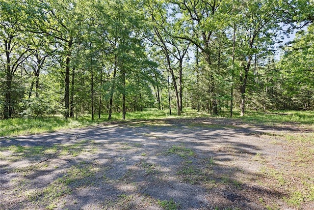 10616 S Liberty Rd, Dardanelle, AR 72834 - view of street with a forest view