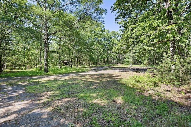 10616 S Liberty Rd, Dardanelle, AR 72834 - view of street with a wooded view
