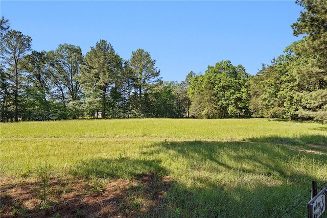 10616 S Liberty Rd, Dardanelle, AR 72834 - view of nature