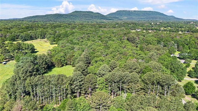 10616 S Liberty Rd, Dardanelle, AR 72834 - aerial view of a heavily wooded area and mountains