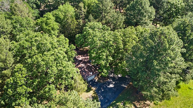 10616 S Liberty Rd, Dardanelle, AR 72834 - aerial view of a forest