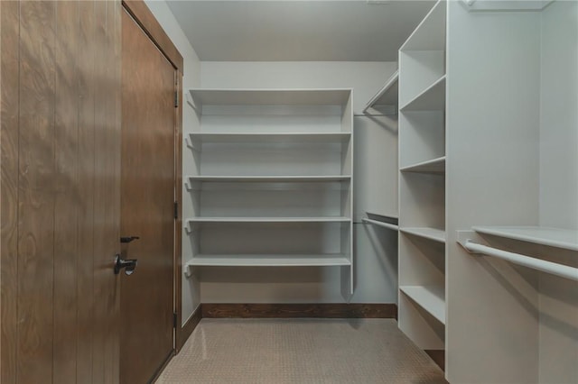 7 W Colonial Dr, Rogers, AR 72758 - view of spacious closet