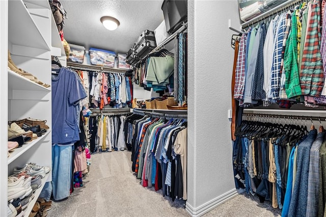 walk in closet with carpet flooring