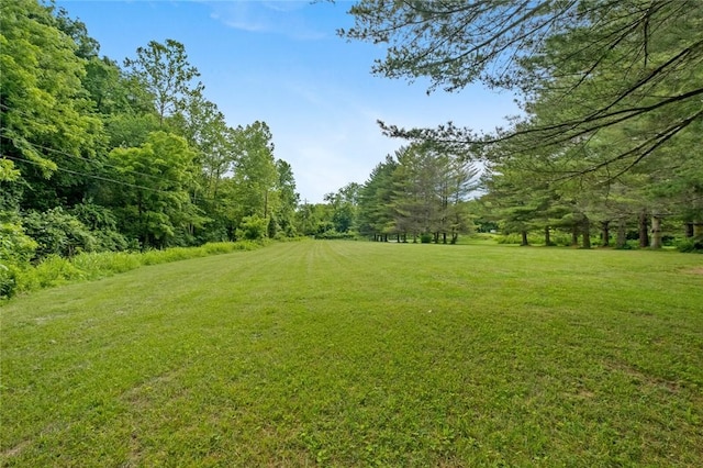 view of green lawn with a forest view