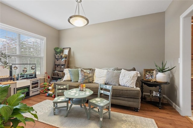 3022 Tori Dr, Harrison, AR 72601 - living room with light wood-style floors