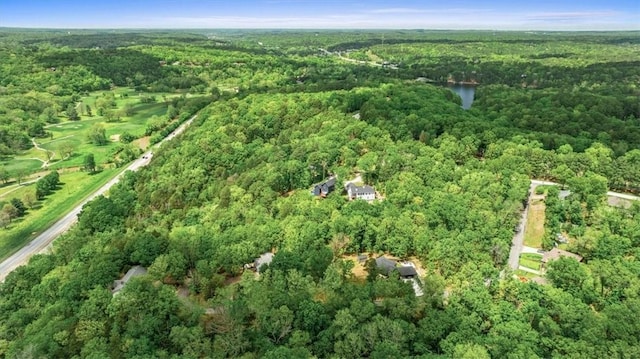 7 Thornbury Ln, Bella Vista, AR 72714 - view of property location with a heavily wooded area and a large body of water