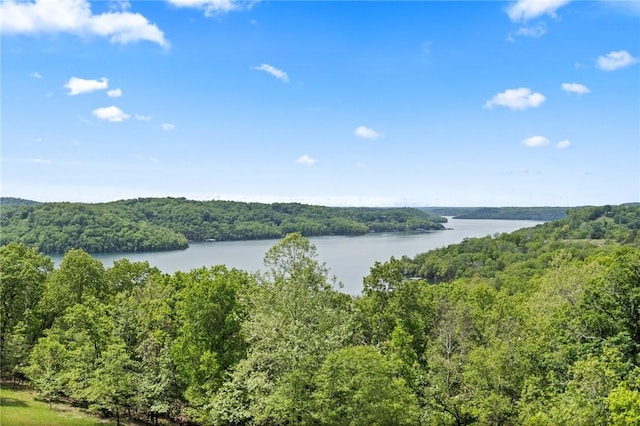 water view featuring a heavily wooded area
