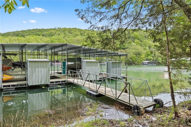 dock with a forest view and a water view