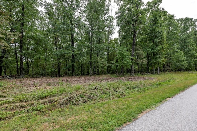 5.32ACRES Deer Meadow Dr, Garfield, AR 72732 - photo 4
