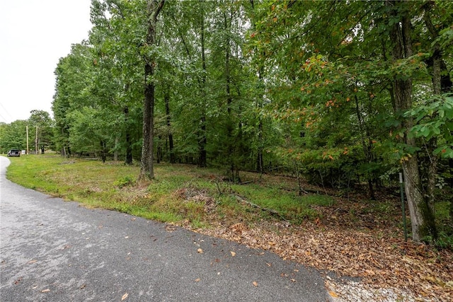 5.32ACRES Deer Meadow Dr, Garfield, AR 72732 - photo 6