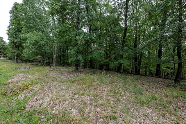 5.32ACRES Deer Meadow Dr, Garfield, AR 72732 - photo 7