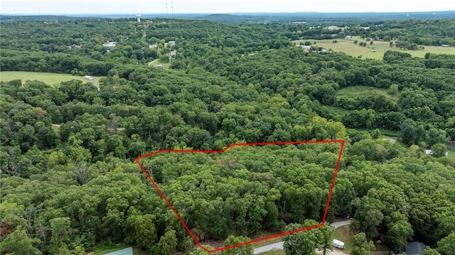 5.32ACRES Deer Meadow Dr, Garfield, AR 72732 - photo 8