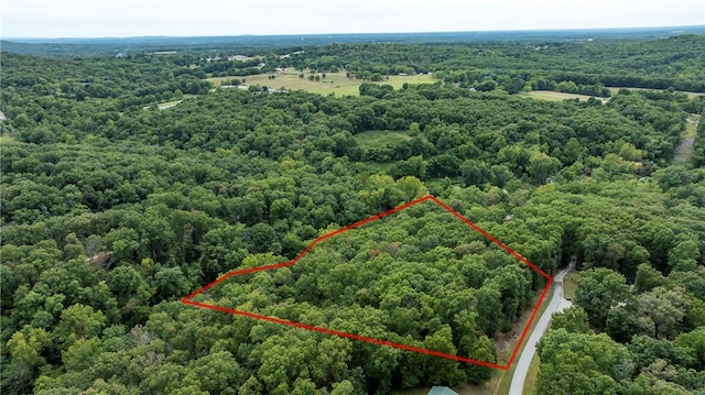 5.32ACRES Deer Meadow Dr, Garfield, AR 72732 - photo 9