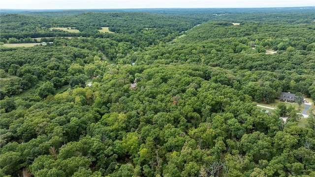 5.32ACRES Deer Meadow Dr, Garfield, AR 72732 - photo 10
