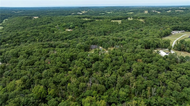 5.32ACRES Deer Meadow Dr, Garfield, AR 72732 - photo 11