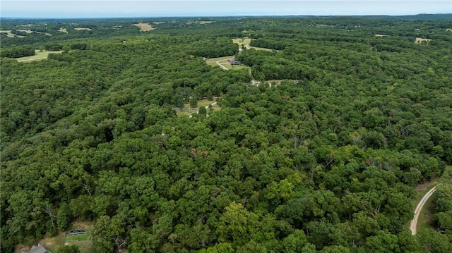 5.32ACRES Deer Meadow Dr, Garfield, AR 72732 - photo 13