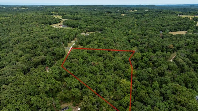 5.32ACRES Deer Meadow Dr, Garfield, AR 72732 - photo 1