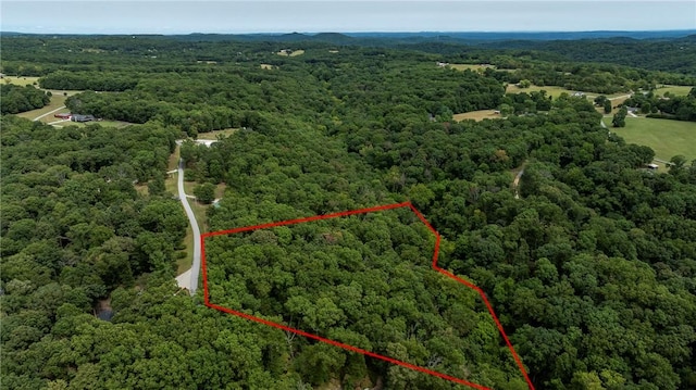 5.32ACRES Deer Meadow Dr, Garfield, AR 72732 - photo 14