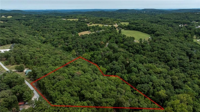 5.32ACRES Deer Meadow Dr, Garfield, AR 72732 - photo 15