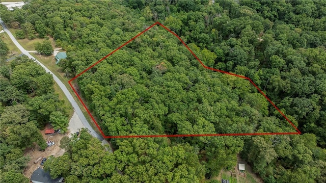 5.32ACRES Deer Meadow Dr, Garfield, AR 72732 - photo 16