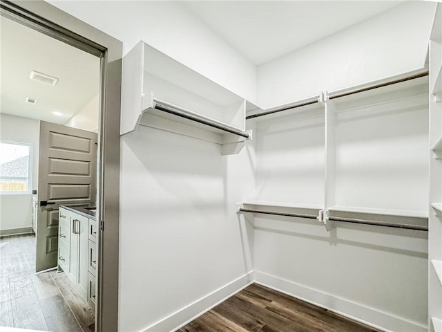 181 Magazine, Prairie Grove, AR 72753 - walk in closet with dark wood-style floors