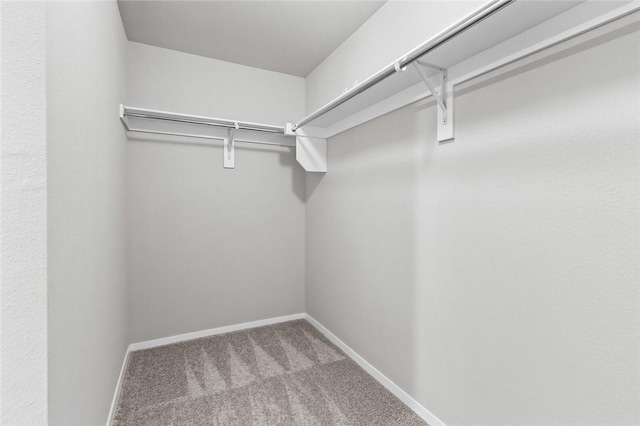 spacious closet with carpet floors