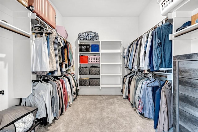 spacious closet featuring carpet