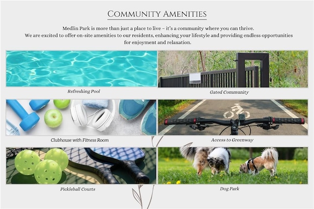 view of marketing collateral with multiple images