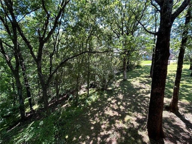 1214 Hilltop Dr, Russellville, AR 72802 - photo 14