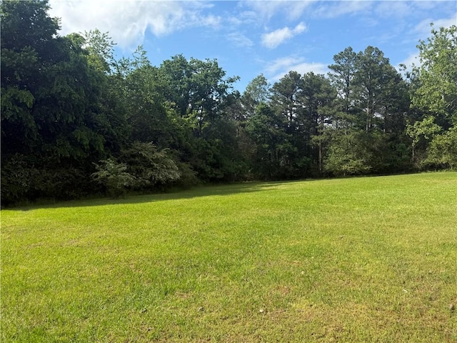 1385 Country Club Rd, Dover, AR 72837 - photo 29