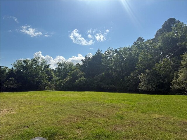 1385 Country Club Rd, Dover, AR 72837 - photo 30