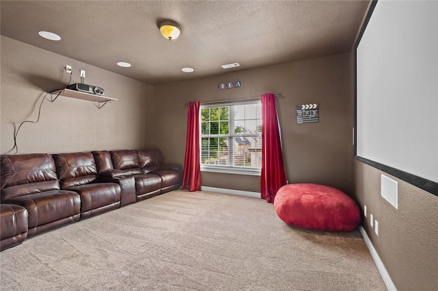 3907 NE Cadbury Ave, Bentonville, AR 72712 - cinema featuring carpet flooring, a textured ceiling, a textured wall, and baseboards