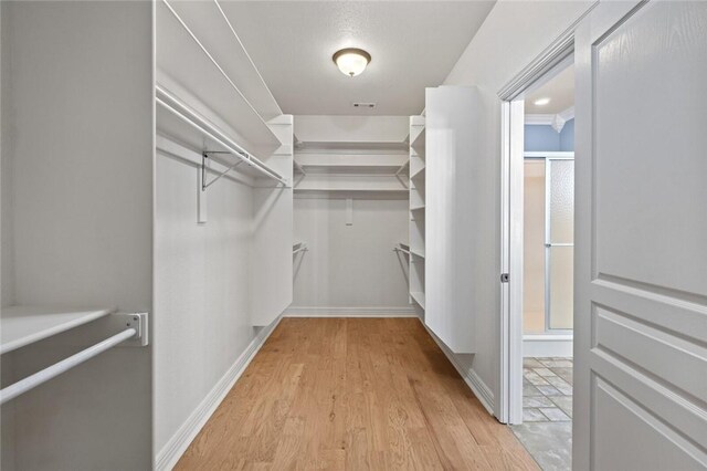 3907 NE Cadbury Ave, Bentonville, AR 72712 - walk in closet with light wood-style flooring