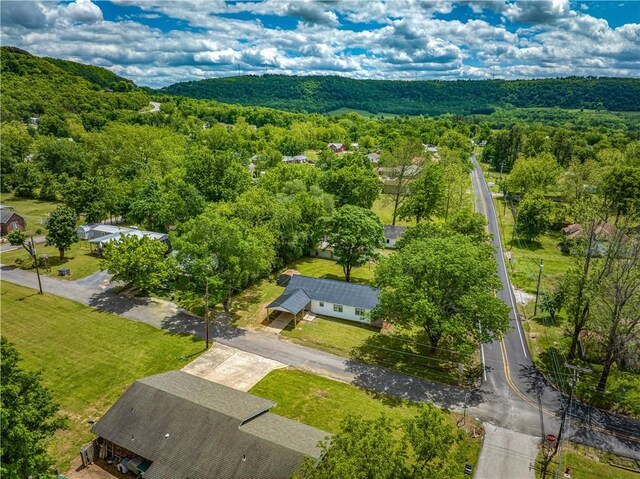 aerial view of a forest