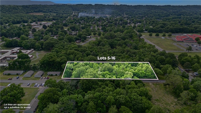 S Independence Ave, Russellville, AR 72801 - photo 1