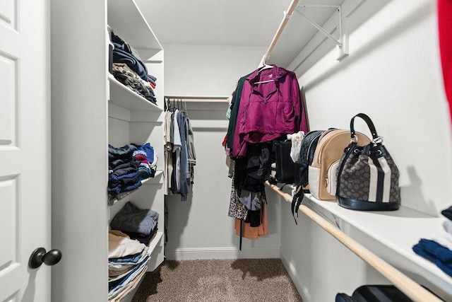 6005 Sherman St, Bentonville, AR 72713 - spacious closet featuring carpet flooring