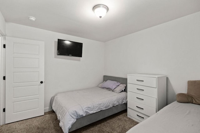 6005 Sherman St, Bentonville, AR 72713 - view of carpeted bedroom