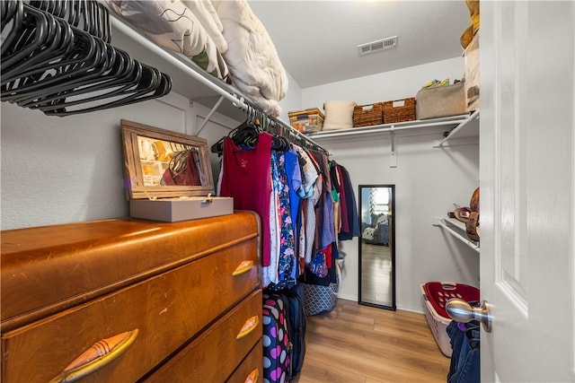 4208 SW Fieldstone Blvd, Bentonville, AR 72712 - walk in closet featuring light wood finished floors